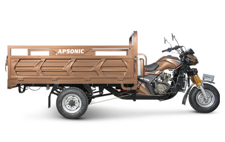 AP150ZH-175 SPORT PLUS